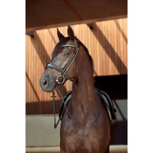 HorseGuard Ava Rundsytt Träns